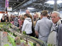 Ausstellungen - modell-hobby-spiel Leipzig 2008
