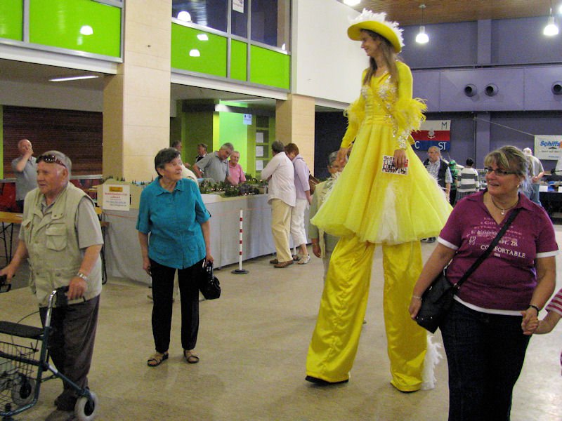 Regionalschau Stadthagen Mai 2011